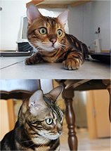 Clara und Leni
